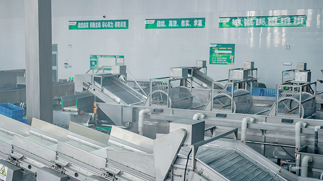 304永利集团·生产工艺