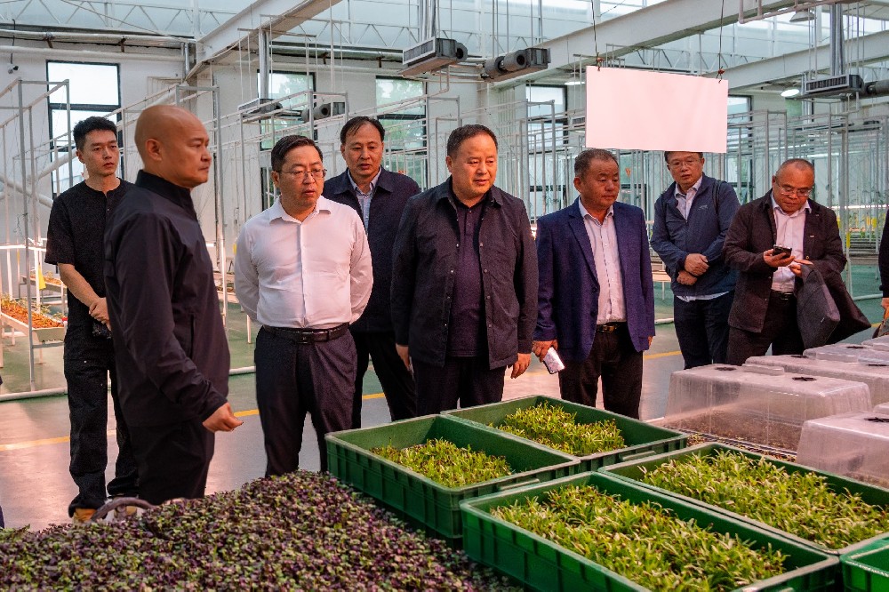 国家大豆产业专家团赴304永利集团集团考察调研，共同探讨大豆产业链发展