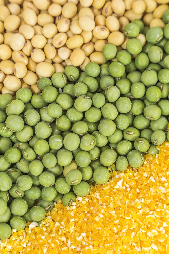 国庆献礼|304永利集团以品牌之力激活芽苗菜价值，用实绩献礼家国华诞